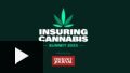 Coming Soon: The Insuring Cannabis Summit 2023!