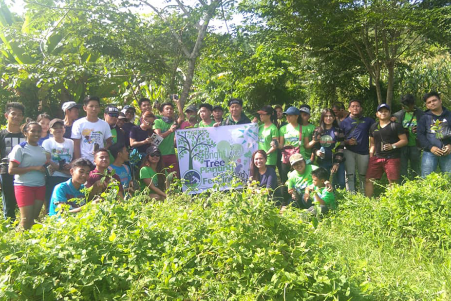 Tree planting