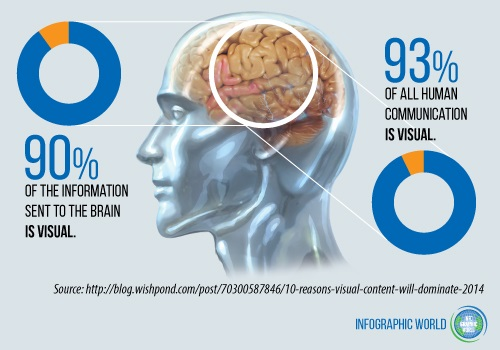 Visual Information Brain